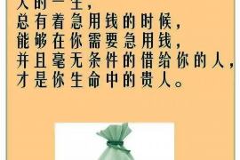 宜阳企业清欠服务